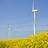 Windkraft mit Aufwärtstrend