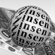 Darlehenszinsen